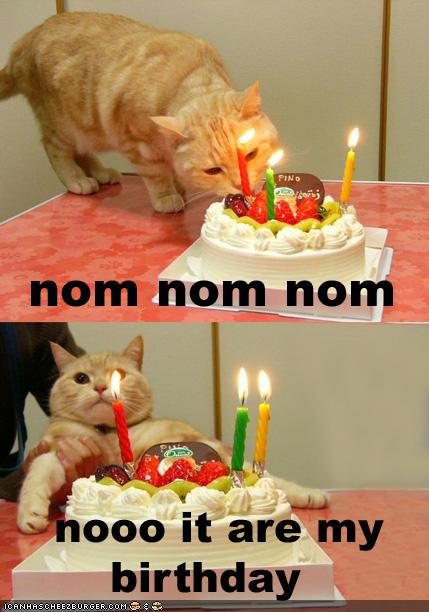 funny birthday cakes. Happy irthday, Internets!
